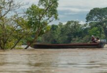 Colombia ante su mayor prueba climática: de Escazú a la transición fósil