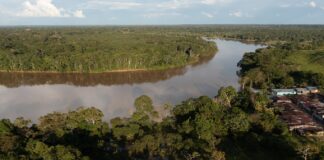 Hablemos de la hoja de ruta para la implementación del Acuerdo de Escazú, una oportunidad clave para la lucha contra el cambio climático en Colombia