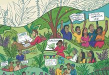 La implementación del Acuerdo de Escazú: una prioridad para la democracia ambiental